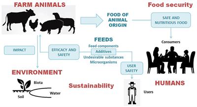 Risk-Benefit Assessment of Feed Additives in the One Health Perspective